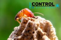 Termite Control Melbourne image 3